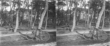 859171 Afbeelding van de fiets van de fotograaf tegen een boom in een bos, vermoedelijk in de omgeving van Zeist.